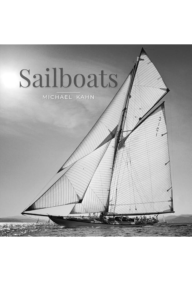Amazon.com: Sailing America: 9780847863587: van der Wal, Onne